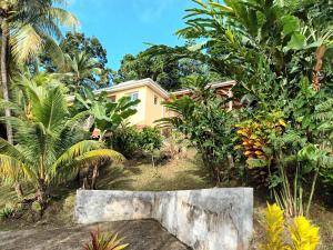 Zahrada ubytování Martinique La petite maison dans la Colline