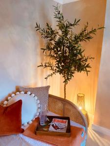 een kamer met een stoel met een tafel en een plant bij Beautiful Boho in Bridgend in Bridgend