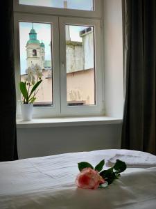 a flower on a bed in front of a window at ALLURE PREMIUM APARTMENT in Lublin