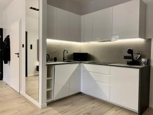 Majoituspaikan ALLURE PREMIUM APARTMENT keittiö tai keittotila