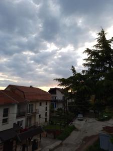 een uitzicht op een straat met huizen en een boom bij Apartments Meshko in Ohrid