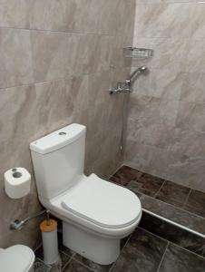 a bathroom with a toilet and a shower at Sofirene II in Batsi