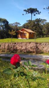 uma flor vermelha em frente a uma casa em POUSADA RECANTO DOS VAGA-LUMES em Urubici