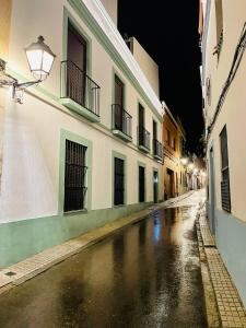 een lege straat in een steegje 's nachts bij Apartamentos BRAVO MURILLO con garaje en centro histórico in Badajoz