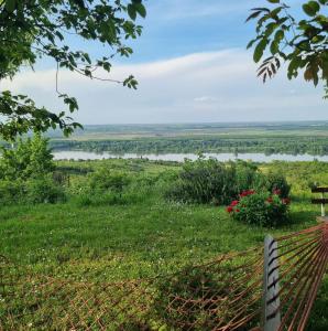 una vista su un campo e su un fiume da una recinzione di Casa Horizont a Slankamenački Vinogradi