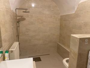 ein Bad mit einer Dusche, einem WC und einem Waschbecken in der Unterkunft Apartman Fabrik in Hainburg an der Donau