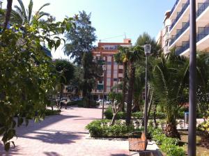 a street with palm trees and a building at Rosabel in Benidorm