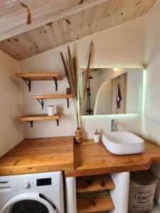 La salle de bains est pourvue d'un lavabo et d'un lave-linge. dans l'établissement Lemonia Apartment with yard, à Pitsidia