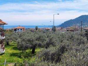 a field of olive trees with a town in the background at Вила Елена-Villa Elena in Skala Potamias