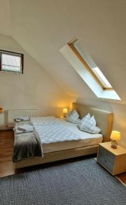 a bedroom with a large bed with a skylight at Privatwohnung Rybczynski in Undenheim