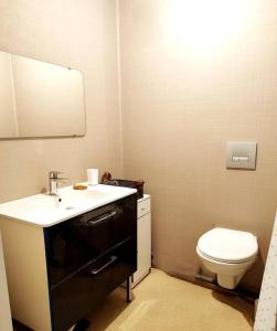 a bathroom with a toilet and a sink and a mirror at Appartement spacieux hyper centre ville proximité immédiate Cathédrale, Musée de Picardie, Coliseum in Amiens