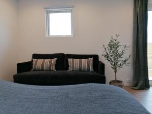 ein Schlafzimmer mit einem schwarzen Sofa und einer Pflanze in der Unterkunft Blackwood cottage near Geysir in Reykholt