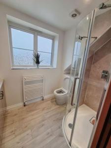 een badkamer met een douche, een toilet en een raam bij The Swish - New Forest Get Away in Redlynch