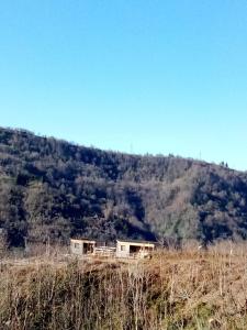 Priroda u blizini vikendice