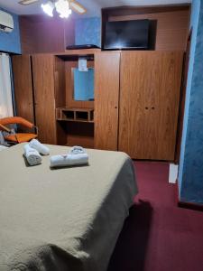 1 dormitorio con 1 cama, TV y armarios de madera en Hotel Acuarius en La Plata