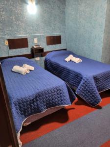 two beds in a room with blue walls at Hotel Acuarius in La Plata