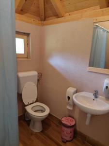 a bathroom with a toilet and a sink at Rafting Camp Konak in Foča