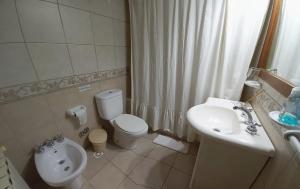 聖卡洛斯－德巴里洛切的住宿－Alma de Maitén，一间带卫生间和水槽的浴室