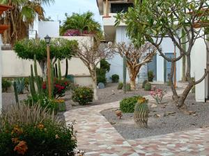 un jardín frente a un edificio con cactus y flores en GoBaja Villas 3 bedroom en La Paz