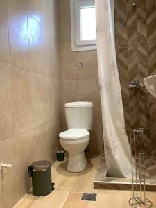 a bathroom with a toilet and a shower at N G Luxury Apartments at Nea Kallikrateia No 2 in Nea Kallikrateia