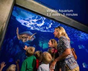 een vrouw en kinderen die naar een schildpad in een aquarium kijken bij Croatan Beach House - Big Kitchen, Hot Tub, 2 Masters in Virginia Beach