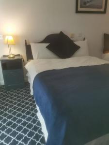 um quarto com uma cama e um candeeiro numa mesa de cabeceira em Ostán Oileán Thoraí Tory Island Hotel em Tory Island