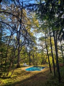 a swimming pool in the middle of a forest at Casa Ayllantú in Las Trancas