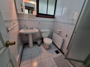 a bathroom with a toilet and a sink at Casa Ayllantú in Las Trancas
