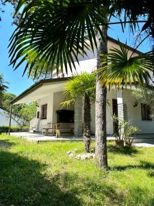 a palm tree in front of a house at Villa Riviera by the Sea in Lignano Sabbiadoro