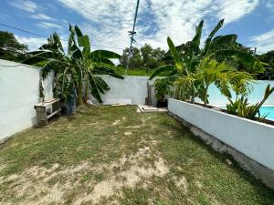 a backyard with palm trees and a wall at Apartamento independiente en casa in Girardot