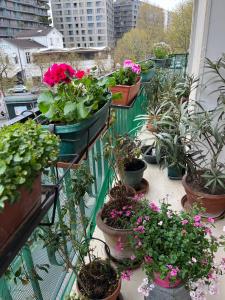 Zdjęcie z galerii obiektu Paris Porte d'Auteuil 2 BR Apartment w Paryżu