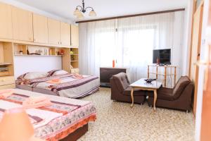 a room with two beds and a couch and a tv at Vila Vojvođanka in Soko Banja