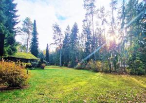 Zahrada ubytování Bungalow direkt am See, mit eigenem Boot