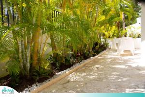 eine Reihe weißer Stühle in einem Garten mit Palmen in der Unterkunft Private Pool, With Access to Beach Club, VSandra, 2BR in Punta Cana