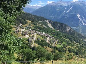 a village in the middle of a valley with mountains at Haus Rhodania in Albinen +61 photos