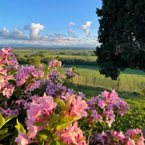 Priroda u blizini of the bed and breakfast