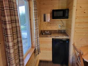 Кухня или мини-кухня в Tobermory Village Cabins
