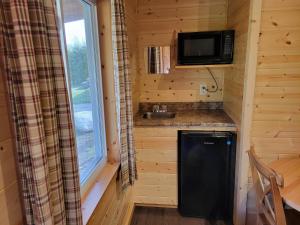 a tiny house with a sink and a microwave at Tobermory Village Cabins in Tobermory