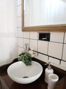 ein Waschbecken mit einer Blumenvase darauf in der Unterkunft Mendoza Vintage in Godoy Cruz