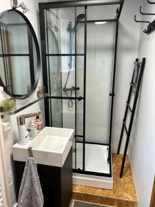 a bathroom with a shower and a sink and a mirror at The Little Guesthouse Downtown - Keflavik Airport in Keflavík