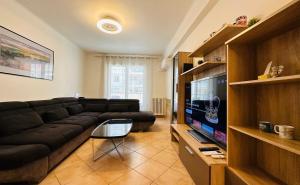 a living room with a black couch and a flat screen tv at The NICE - 3 rooms, 3air cond, 3TV, 3fans, 2 wc, WIfi everywhere 5min aeroport, train, beach, 1min tram, 15 min centre, port, GARAGE FREE SECURITY in Nice