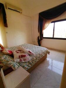 um quarto com uma cama com almofadas e uma janela em 5 bedrooms house at Markaz Al Alamein 700 m away from the beach with shared pool enclosed garden and wifi em El Alamein