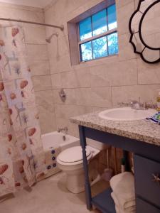 a bathroom with a toilet and a sink and a tub at Windsor place in Hermitage