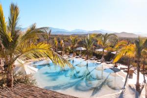 a large swimming pool with palm trees and chairs at Baja Nomads Hotel - Adults 15 Plus in Todos Santos