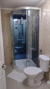 y baño con ducha y aseo. en Habitación 1 casa/tinaja/piscina, en Valdivia