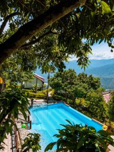 Bazén v ubytování Glamping Mirador Santa Fe-Sopetran nebo v jeho okolí