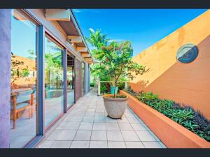 a potted tree in a planter on a patio at 'Wishing Well' - Beautiful 4 bed, 2 bath house at Shoal Bay Beach in Shoal Bay