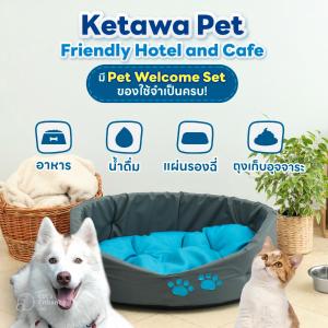 a dog and a cat sitting next to a pet welcome set at Ketawa Pet Friendly Hotel in Chiang Mai