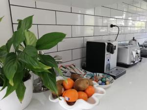 a bowl of fruit on a kitchen counter with a plant at Centre Takapuna 2 Beds & Garage & Netflix in Auckland