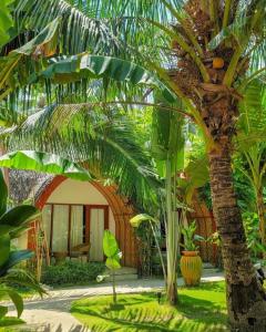 a garden with a palm tree and a building at Tropical Temple Siargao Resort in General Luna